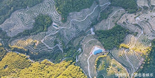 福建生态小镇，山连着山，水连着水，藏着一片世外桃源的茶山