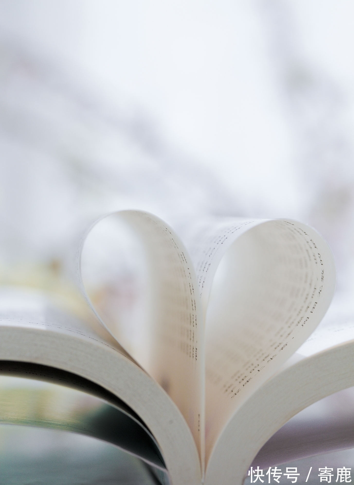 阅读笔记$《你当像鸟飞往你的山》阅读笔记