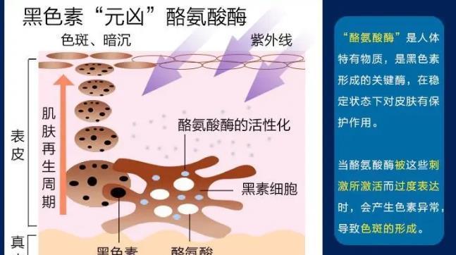 你怎么都戒不掉的“新型毒品”,除了发胖,还在让你越来越丑