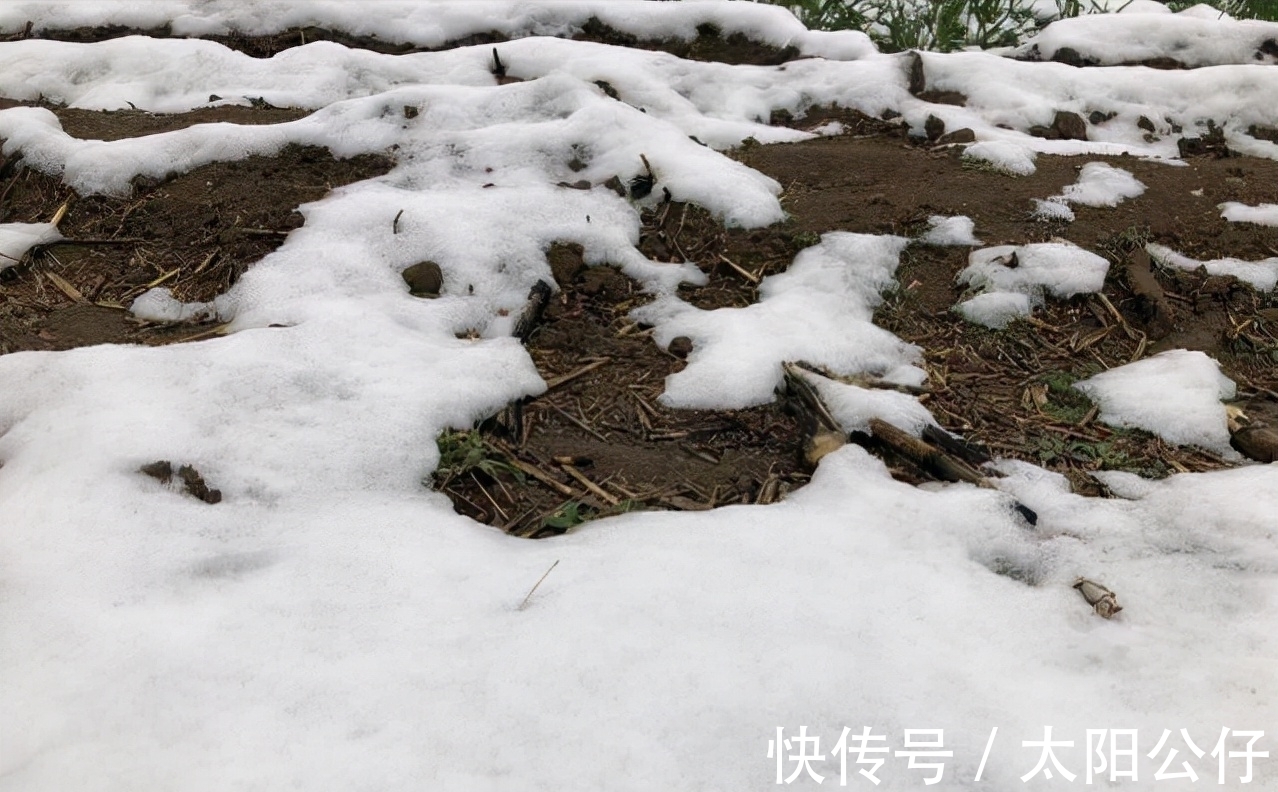 腊月#四九已过,何时下雪?老人说:“下不下,就看腊月二十一”,为啥