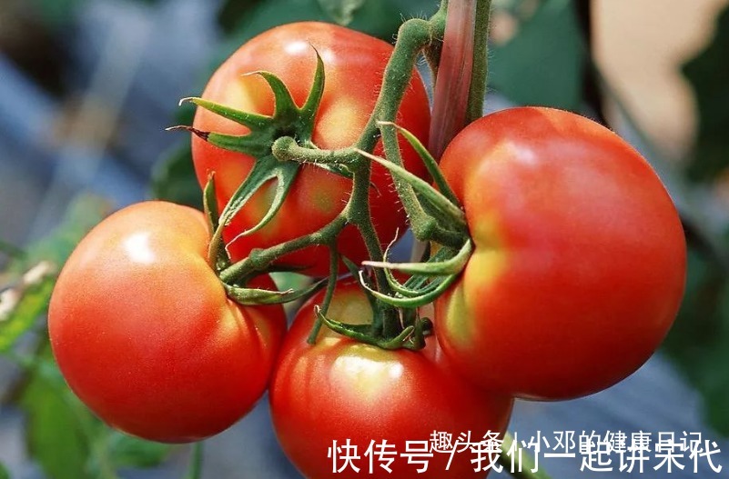 炒番茄|忠告炒番茄不能放此物,吃了生病也是自找,看完告诉身边人!