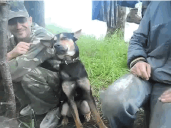 |搞笑GIF:你都看到了,她自己打自己的,我可没动手