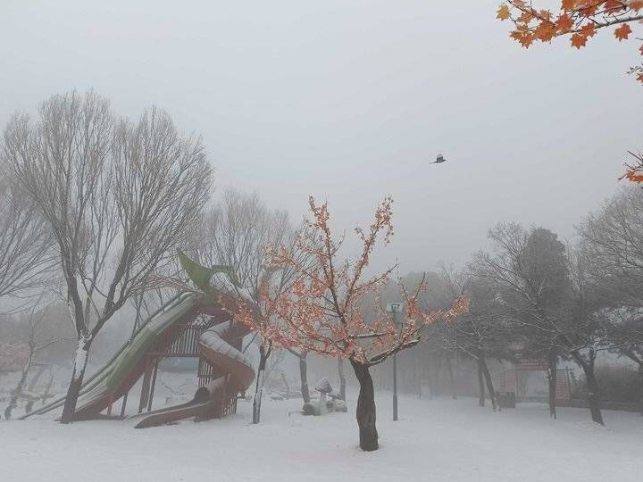 第一场雪|2022第一场雪，齐鲁雪乡腊八节诠释济南的冬天