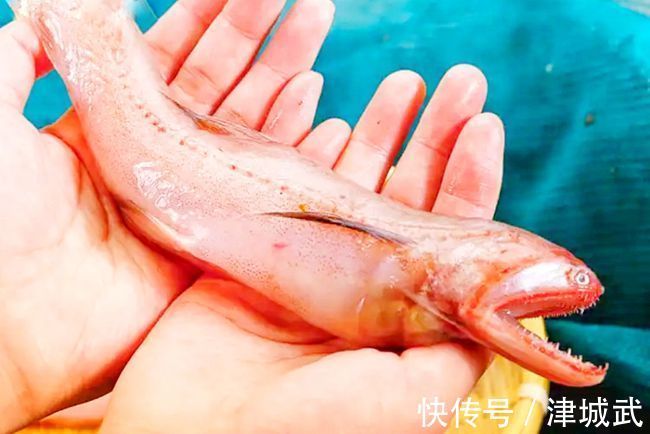 肉质最鲜嫩的7种鱼，营养鲜美鱼刺少，小孩常吃，强健体质