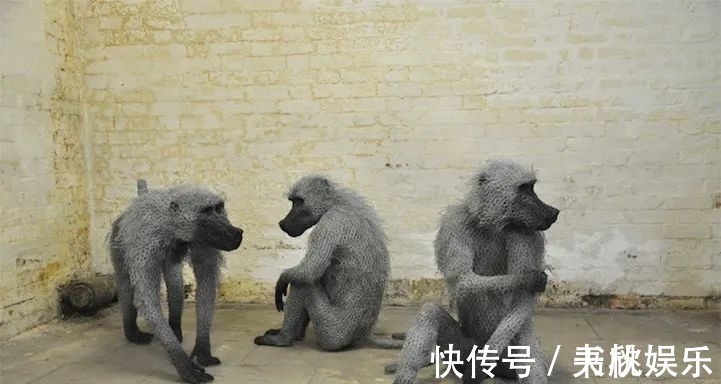 铁丝&她用镀锌铁丝,创作栩栩如生的动物雕塑,逼真程度令人惊讶