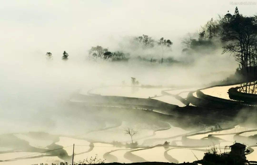 哪几个|中国最稀有的几个姓氏,你见过哪几个?