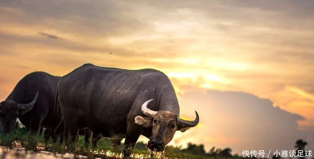 观点|从制度建设、基础设施角度,分析汉初为何能成功推行“无为而治”