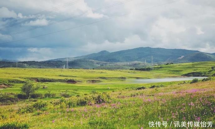 盛夏|盛夏的香格里拉,藏着世间所有的小美好
