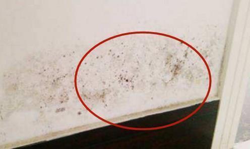 绝缘层|新房装修敢甩手不盯紧11大施工细节,处处遭偷工减料,被坑3万!