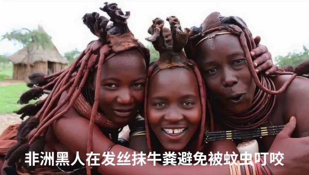 脏辫|喜欢非洲人的个性脏辫?看着头皮都疼!