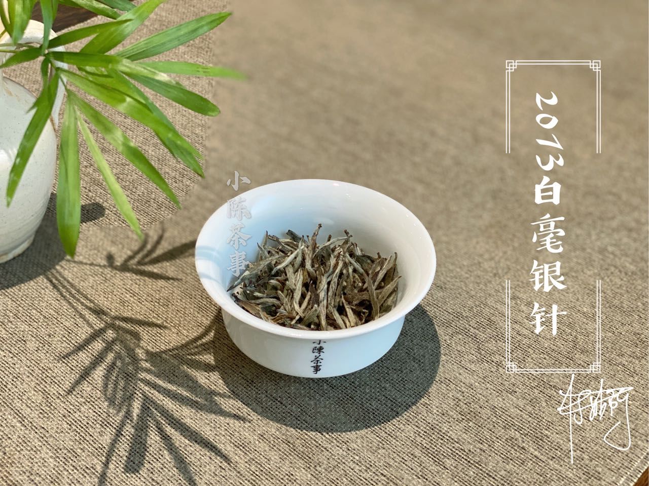 李林甫|老白茶当口粮茶，前几天刚喝过母树大红袍，数数茶圈的奇葩语录