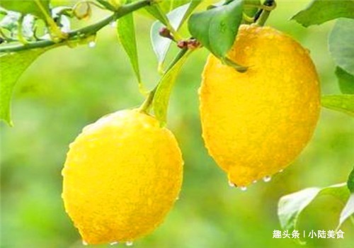 子宫早衰|女性到了40岁，常吃4种食物，美白肌肤，缓解痛经，预防子宫早衰