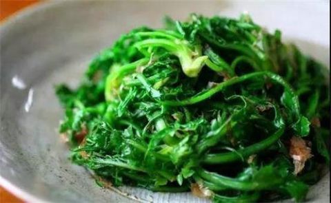 蔬菜冷知识你知道多少大白菜维C含量比柠檬高