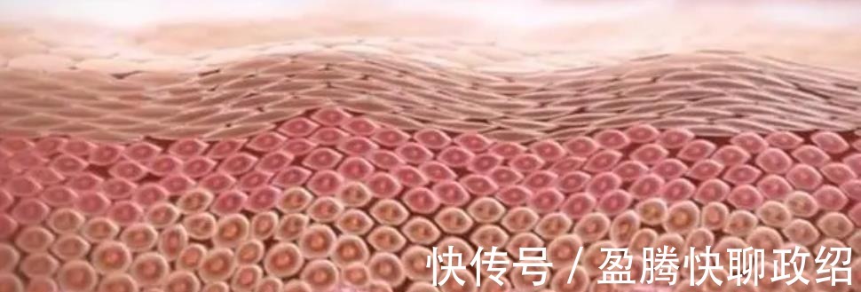 肌红血丝|敏感肌红血丝怎么护肤?从成因到修复,都给你梳理好了!