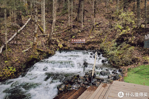 秘密|这个地方的秋天，是傻狍子都不想分享的秘密