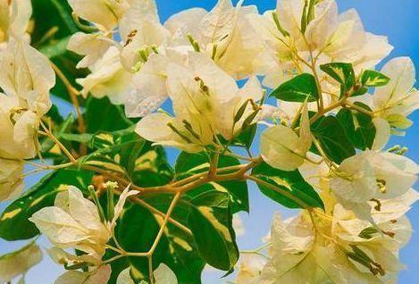 农历6月30多少年一次