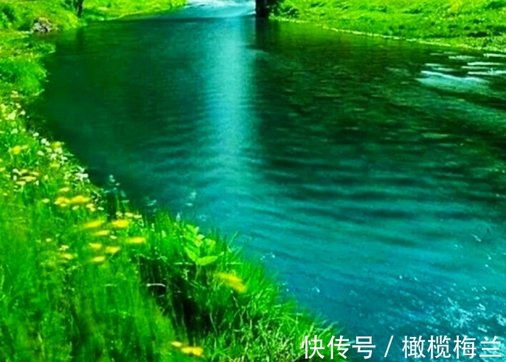 传世|【诗词欣赏】品读五首小诗,欣赏中唐时期代表诗人的传世佳作