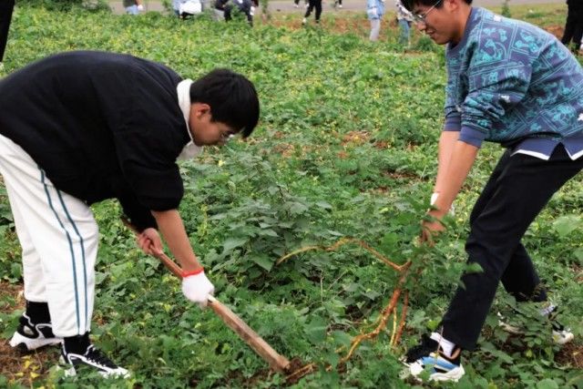 通识教育学院|武汉一所大学开了门必修课，每个学生都要下地种田