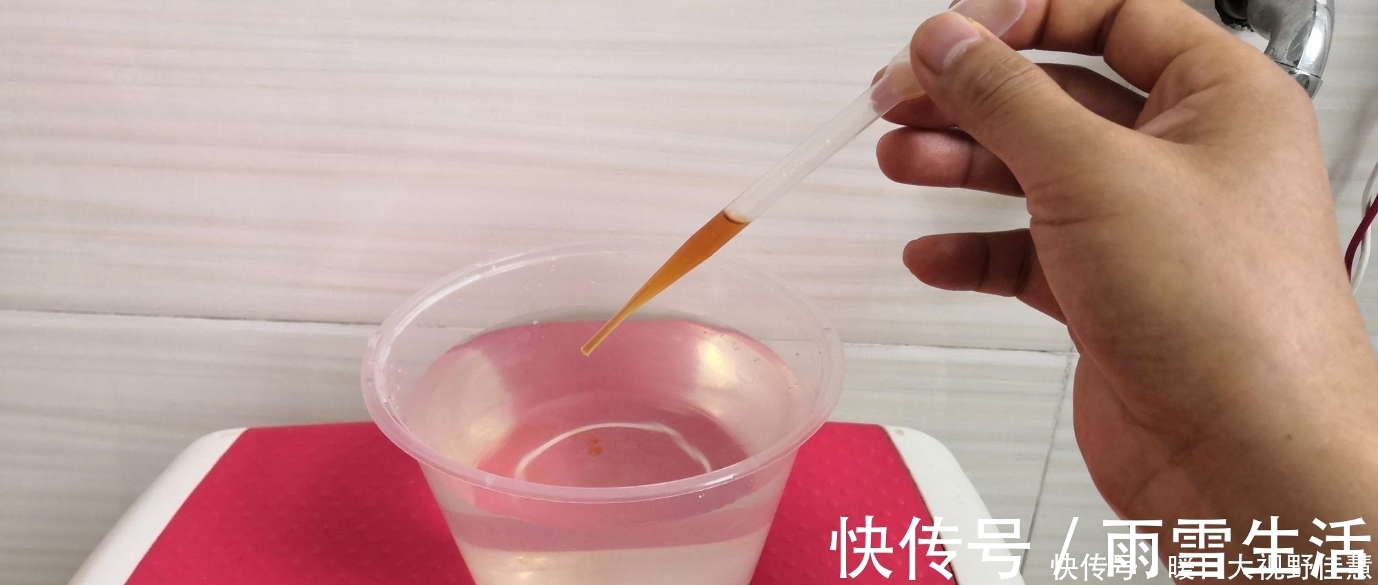 养兰人总结出来的养兰偏方,招招好使,叶芽满盆