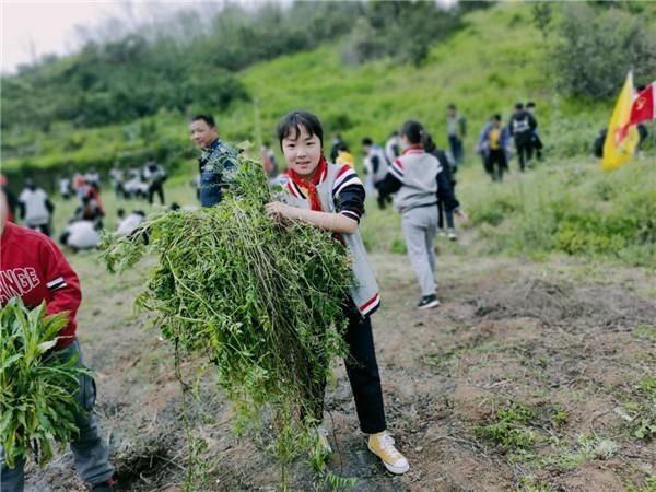 宜都市红花套小学教育集团开展劳动教育实践活动