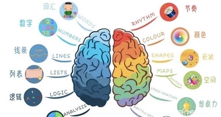 孩子|智商越高的孩子越难带!孩子若有这3个“烦人”行为,家长该高兴!