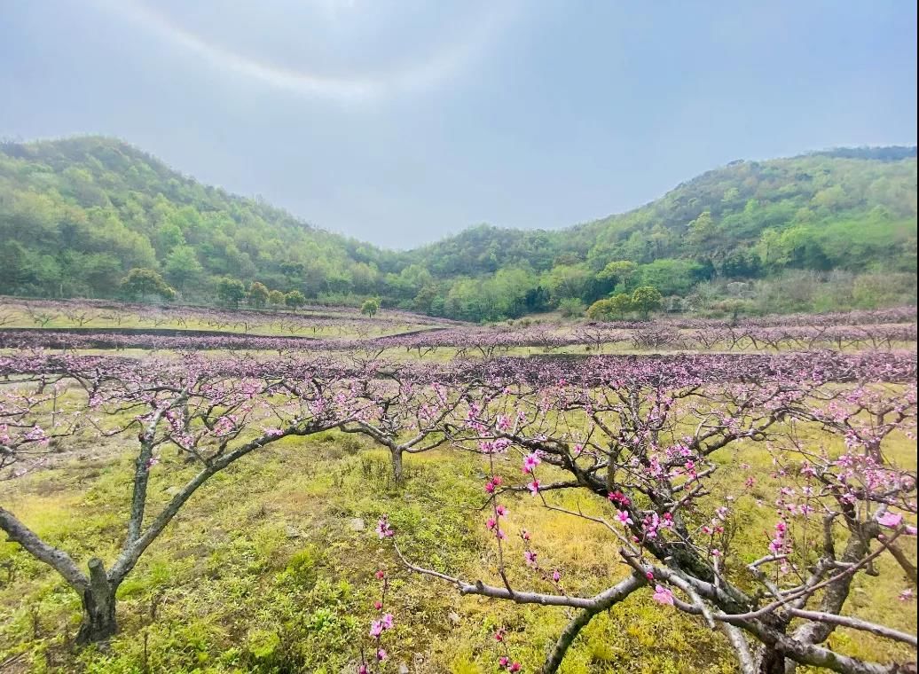 象山|明年来看亚运会去哪儿玩？请收下这份《2022年象山旅行计划书》