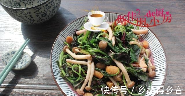 一日三餐|南方夫妻俩3菜午餐晒圈火了,荤素搭配好吃好做,网友用心生活!