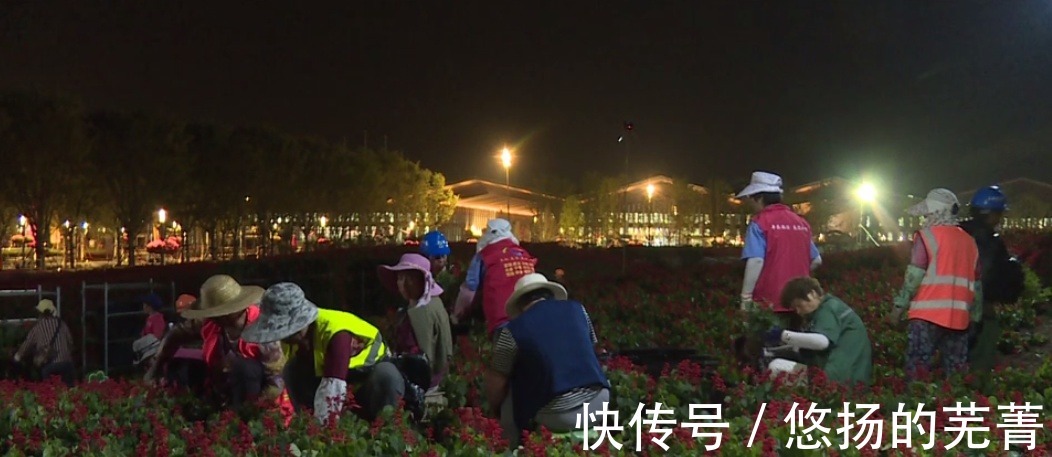 重磅|【最新】花博园里的“重磅新款”来了!