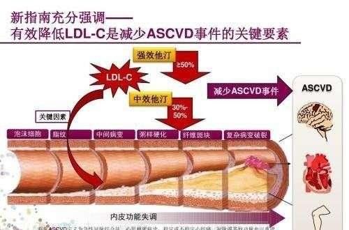 勃起不全のための緑の唐辛子