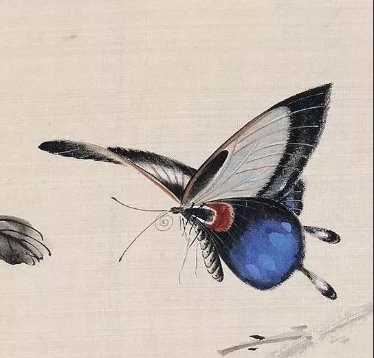 俞致贞|收藏!国画蝴蝶纸上来感觉蝴蝶在动,太逼真了!