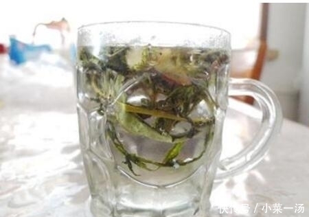 蒲公英泡水|用蒲公英泡水喝时，若和3种食材搭配，养生效果或许会翻倍！