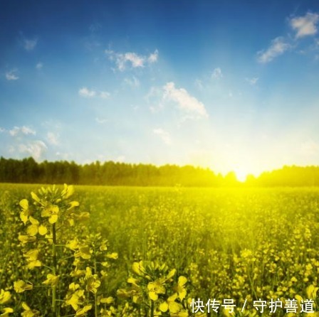 东西|你布施出去的东西,最终还是你的