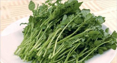 护肤|女性到了中年，常吃3种食物，补血养颜，排毒护肤，延缓衰老