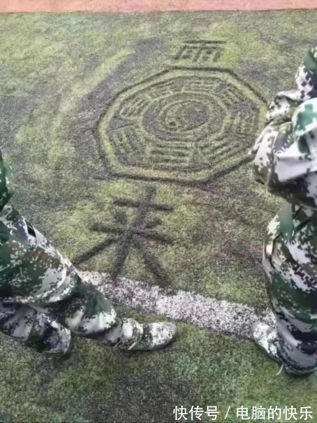 |搞笑图集：一个宿舍42个学生，网友：养猪都不敢这么养啊