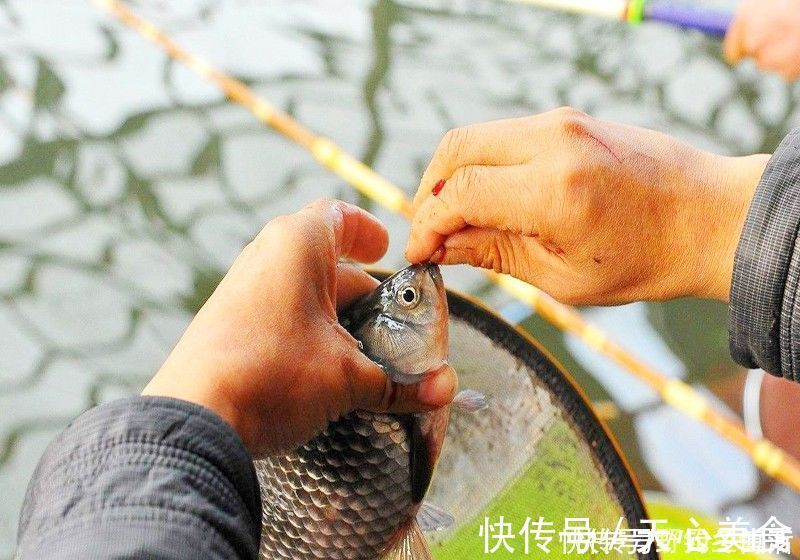 线组|钓鱼千万不要跟新手抬杠，因为根本抬不住