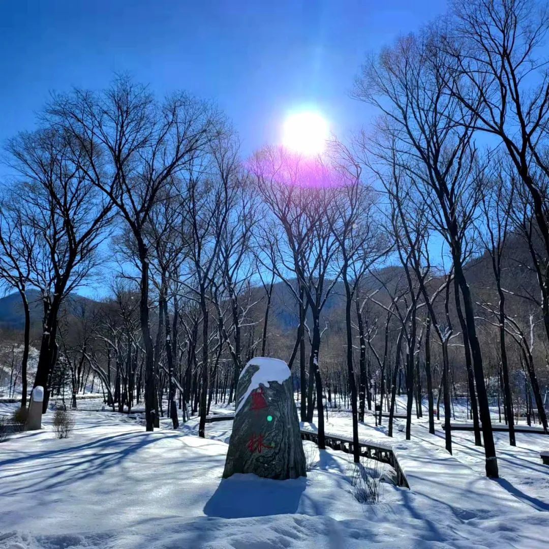 九眼楼长城|你那里没雪景了吧？哈哈，北京这里的长城上还有！