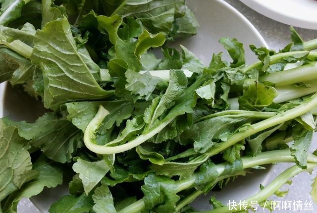 多数人只吃根茎,其实叶子才是宝贝,现在正上市,不懂吃可惜了!
