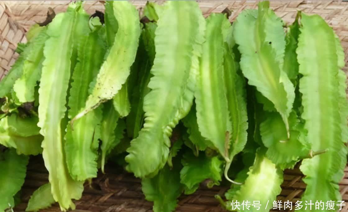 维生素c|适合夏天的3种食物,祛皱润肤,排毒养颜,好处多多