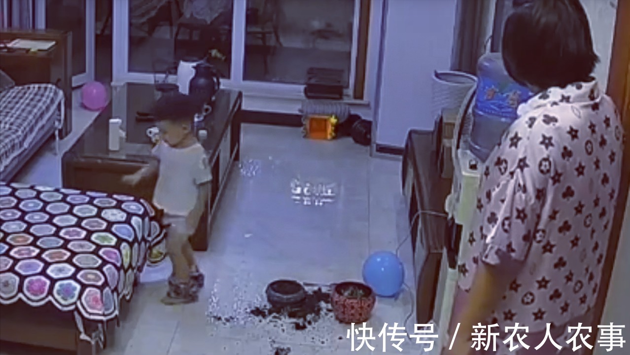 萌娃|河北一萌娃火了,犯了错直接脱裤子躺沙发上等待惩罚!网友:惯犯