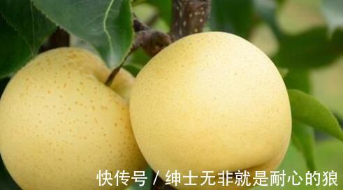 孩子|适合宝宝吃的水果，香蕉上榜，让你的孩子比你聪明比你强