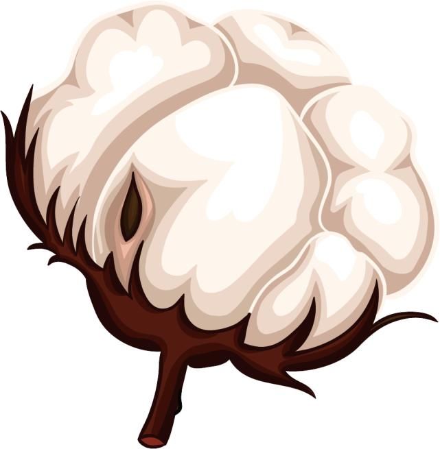 分享一个伪素颜的奶咖眼妆，很适合日常通勤用哦~