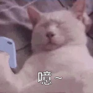 坏习惯|每4分钟一次,全世界人民都有的这个习惯,竟然这么危险!