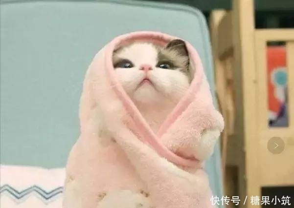 致死率|它的致死率比癌症还高,很多人却不注意