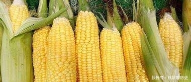 吃蔬菜|这热饮饭店里一小壶30元,自己做只需3块,简单营养,比大米粥好