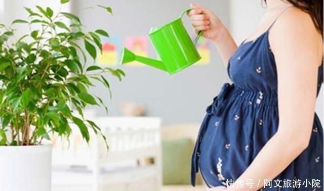 怀孕|怀孕后这5种家务孕妈别再做了，不是矫情，真伤到胎儿后悔就晚了