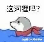 房子|買二手房之前，強烈建議先看看這篇文章！