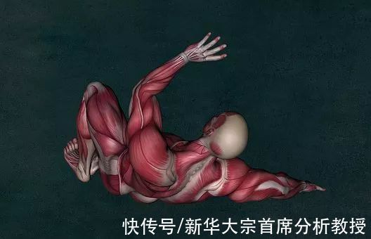 筋膜|运动损伤的预防与康复,3个原则,5个方法,你还有补充吗?