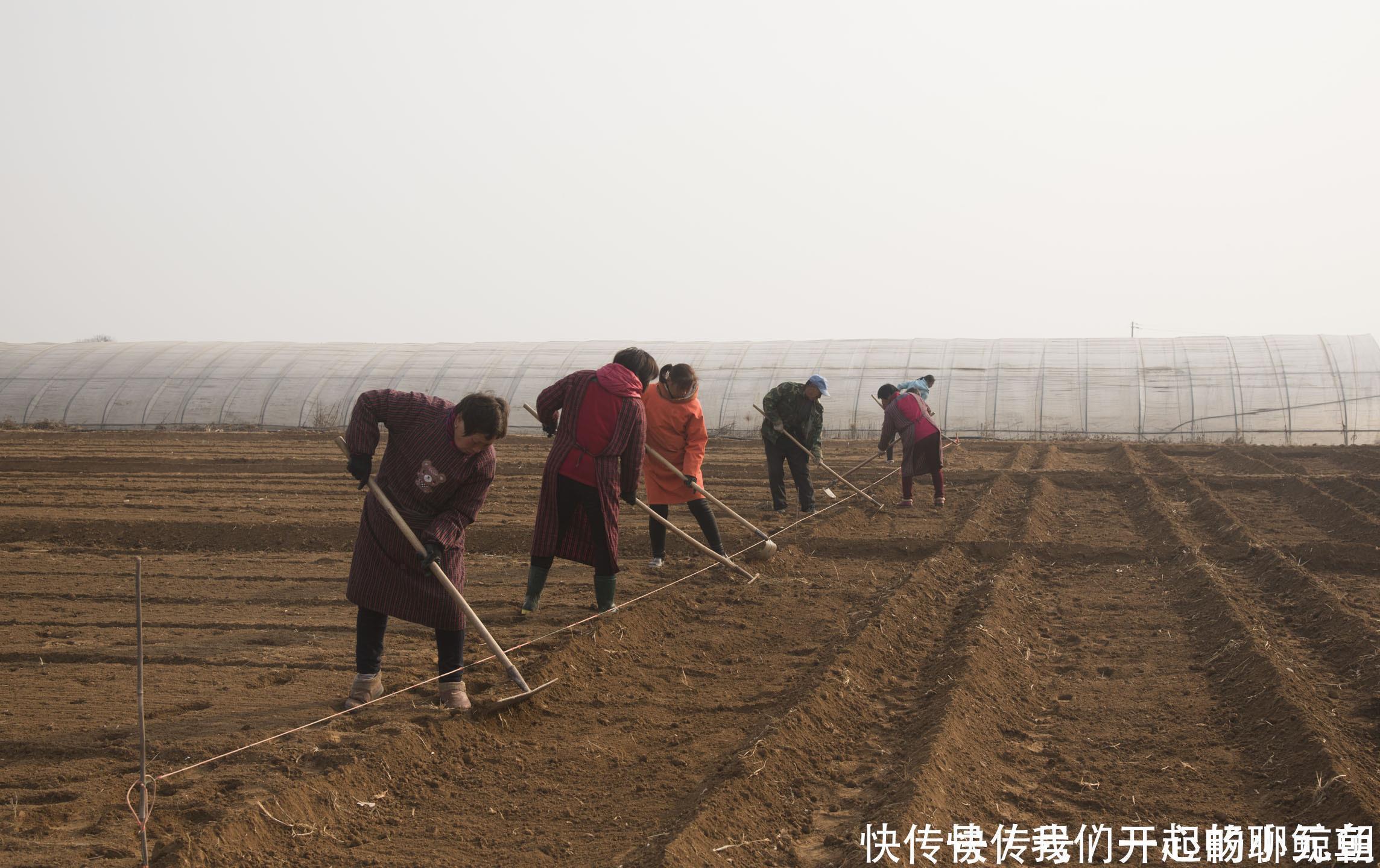 一亩地是多少平方米,很多老农民都不清楚,