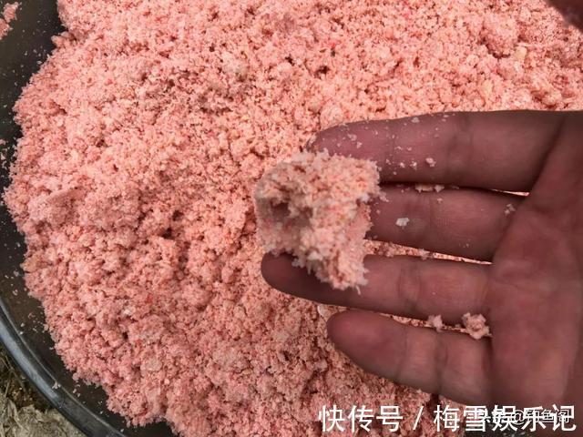 文章|学钓鲢鳙从这篇文章开始,调漂、开饵、抓口都给你讲明白