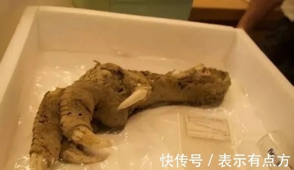 公元前@十大最神秘的考古发现排名榜单揭晓!亚特兰蒂斯排名榜首!